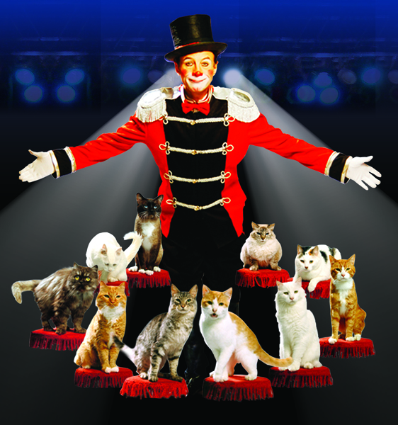 Comedy Pet Theater