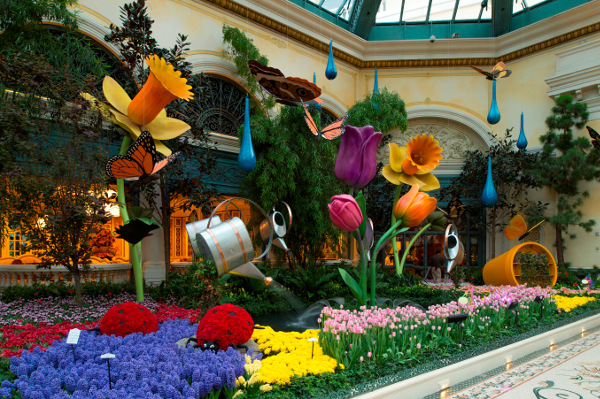 Spring is in full bloom again at Bellagio's Conservatory & Botanicl Gardens