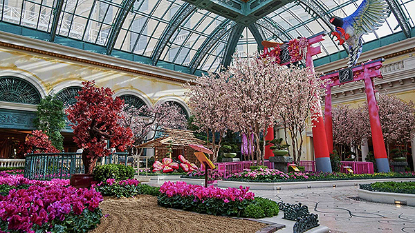 bellagio entertainment conservatory japanese spring rock bed.jpg.image.1920.1080.high